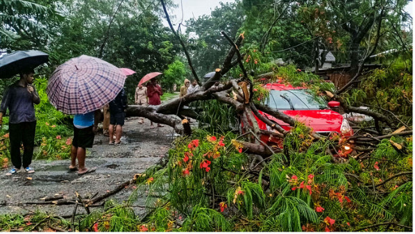 WhatsApp Image 2025-05-31 at 3.58.12 PM