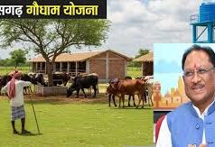 मुख्यमंत्री श्री विष्णु देव साय 14 मार्च को बिलासपुर से करेंगे ‘गौधाम योजना’ का शुभारंभ