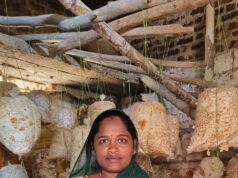 मुख्यमंत्री के सुशासन से सशक्त हुई महिलाएं : मजदूरी से मशरूम उत्पादन और अब स्वयं की दुकान से ‘लखपति दीदी’ बनीं बृहस्पति धुर्वे