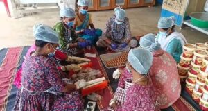 ‘कोरिया मोदक’ से महिलाएं हुई आत्मनिर्भर : पोषण, रोजगार और सामाजिक एकता का संगम-कोरिया मोदक