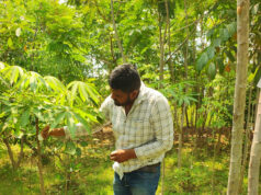 नगर निगम पर्यावरण एवं उद्यानिकी विभाग द्वारा लाभांडी संकल्प सोसायटी में वर्ष 2022-23 में बल्क प्लांटेशन पद्धति अंतर्गत सघन पौधरोपण कर रोपित पौधों की गणना कर टेंगिग करवाकर संख्या रिकार्ड करने का कार्य निरन्तर प्रगति पर