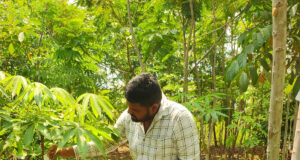 नगर निगम पर्यावरण एवं उद्यानिकी विभाग द्वारा लाभांडी संकल्प सोसायटी में वर्ष 2022-23 में बल्क प्लांटेशन पद्धति अंतर्गत सघन पौधरोपण कर रोपित पौधों की गणना कर टेंगिग करवाकर संख्या रिकार्ड करने का कार्य निरन्तर प्रगति पर