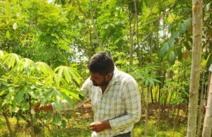 नगर निगम पर्यावरण एवं उद्यानिकी विभाग द्वारा लाभांडी संकल्प सोसायटी में वर्ष 2022-23 में बल्क प्लांटेशन पद्धति अंतर्गत सघन पौधरोपण कर रोपित पौधों की गणना कर टेंगिग करवाकर संख्या रिकार्ड करने का कार्य निरन्तर प्रगति पर