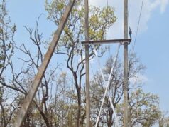 दशकों का अंधेरा छँटा: ‘नियद नेल्लानार योजना’ से जगमगाए नारायणपुर के वनांचल गांव