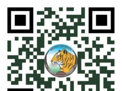 अंतरराष्ट्रीय बाघ दिवस पर होगा ‘रन फॉर इंद्रावती’ मैराथन का आयोजन