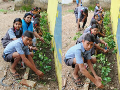 बैगलेस डे पर विद्यार्थियों ने किया पौधरोपण, पर्यावरण संरक्षण का लिया संकल्प