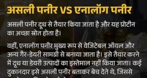 दूध से बने असली उत्पादों की गुणवत्ता से समझौता नहीं, एनालॉग पनीर पर प्रशासन सख्त