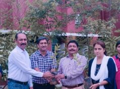आयुर्वेद दिवस पर पीएम श्री नवोदय विद्यालय में स्वास्थ्य जागरूकता कार्यक्रम का आयोजन