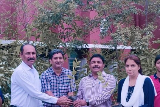 आयुर्वेद दिवस पर पीएम श्री नवोदय विद्यालय में स्वास्थ्य जागरूकता कार्यक्रम का आयोजन