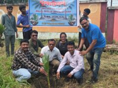 नवोदय विद्यालय में पूर्व विद्यार्थियों ने लगाए 80 नारियल के पौधे