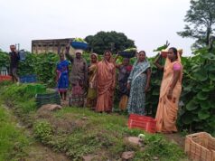 बिहान से बदली राह 35 महिला किसानों ने 600 क्विंटल सब्जी उगाकर लिखी सफलता की नई कहानी