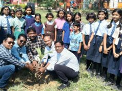 नवोदय विद्यालय परिसर में लगाए 220 नारियल के पौधे, पूर्व छात्रों ने निभाई भागीदारी