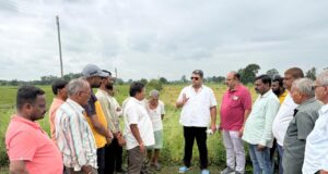 खेतों में बिछी धान की फसल देख किसानों का दर्द जाना, मुआवजे के लिए शहर कांग्रेस ने सौंपा ज्ञापन