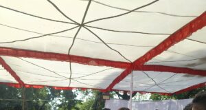 सियान मितान सप्ताह का शुभारंभ, 100 वरिष्ठ नागरिकों का सम्मान